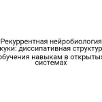 Рекуррентная нейробиология скуки: диссипативная структура обучения навыкам в открытых системах